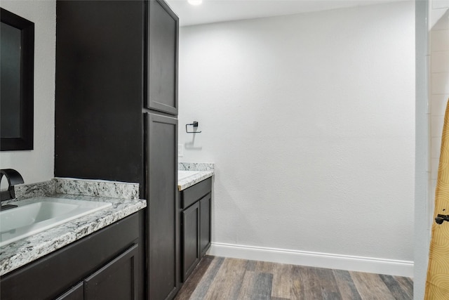 bathroom with vanity and hardwood / wood-style flooring