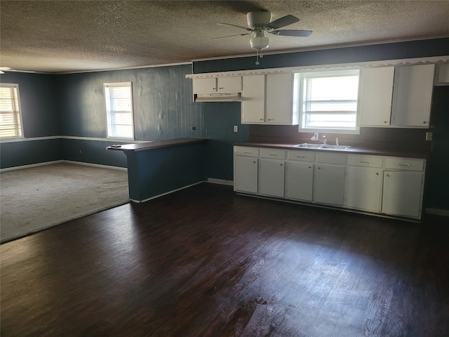 kitchen featuring white cabinets, sink, dark hardwood / wood-style floors, ceiling fan, and a textured ceiling