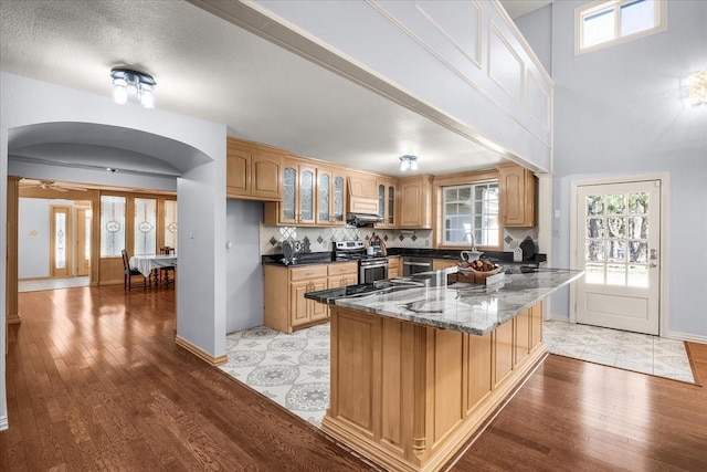 kitchen featuring backsplash, stainless steel appliances, light hardwood / wood-style flooring, and dark stone countertops