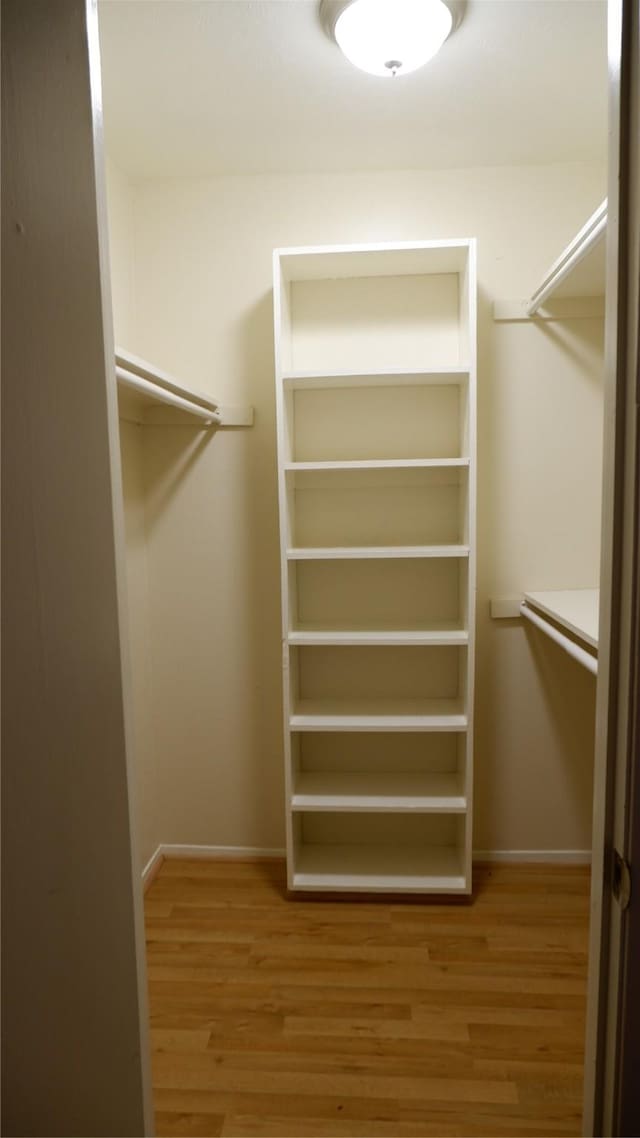 walk in closet featuring light hardwood / wood-style flooring