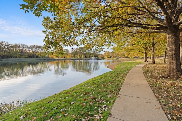 property view of water