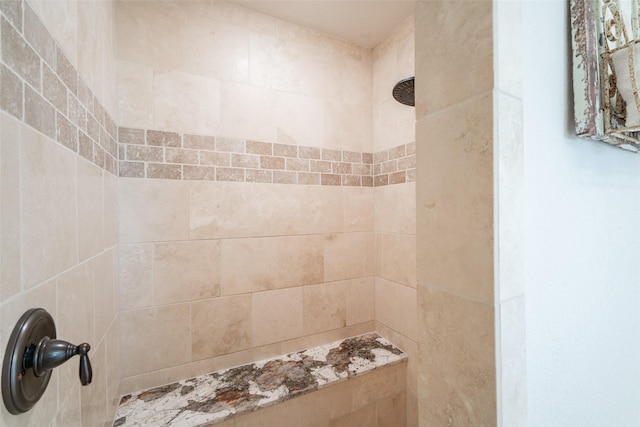 interior details with tiled shower