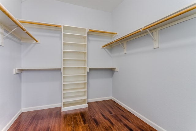 spacious closet with dark wood-type flooring