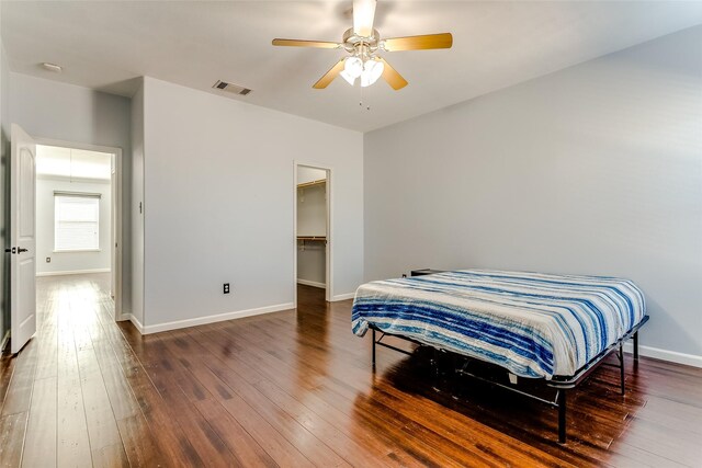 bedroom with a walk in closet, ceiling fan, a closet, and dark hardwood / wood-style floors