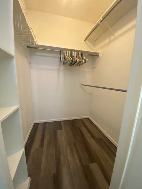 spacious closet with dark hardwood / wood-style flooring