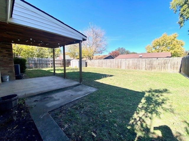 view of yard with a patio area and a shed