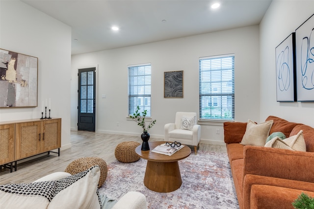 living room with light hardwood / wood-style floors