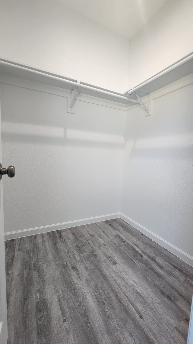 walk in closet with dark hardwood / wood-style floors