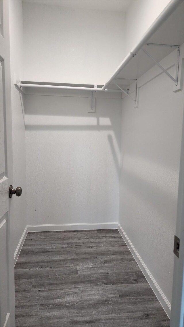 spacious closet featuring dark hardwood / wood-style flooring