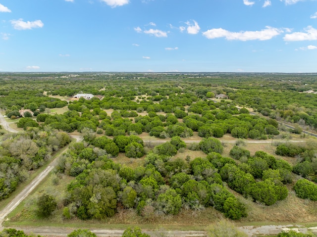 40046 Elmwood Dr, Whitney TX, 76692 land for sale