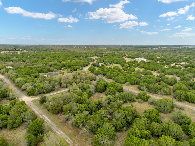 Listing photo 2 for 40046 Elmwood Dr, Whitney TX 76692