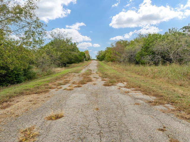 Listing photo 3 for 40046 Elmwood Dr, Whitney TX 76692