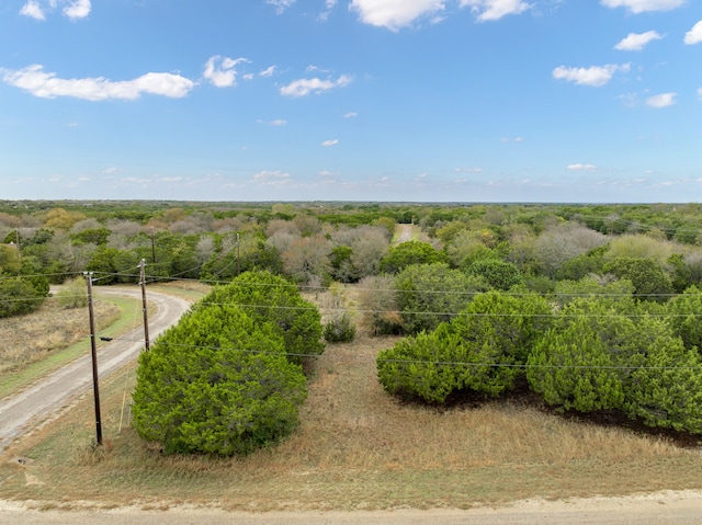 40032 Brentwood Ct, Whitney TX, 76692 land for sale