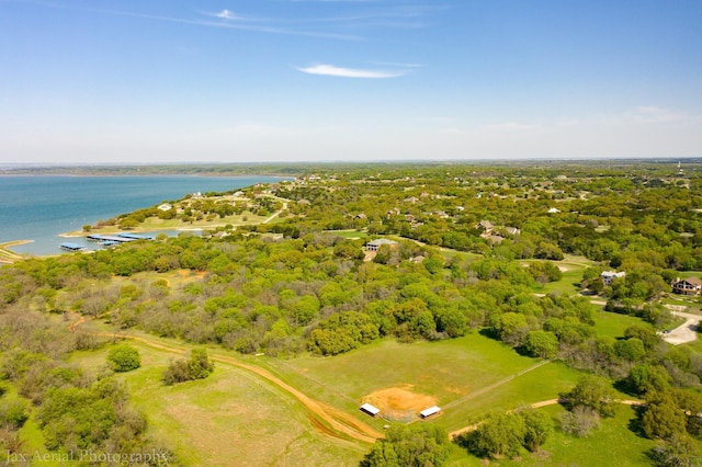 39213 Shadow Ridge Dr, Whitney, TX 76692