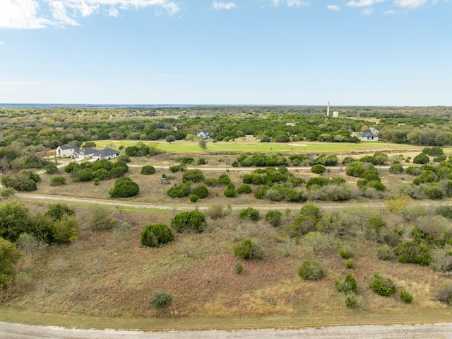 39213 Shadow Ridge Dr, Whitney, TX 76692