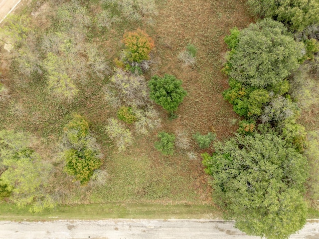 24171 Stonewood Dr, Whitney, TX 76692