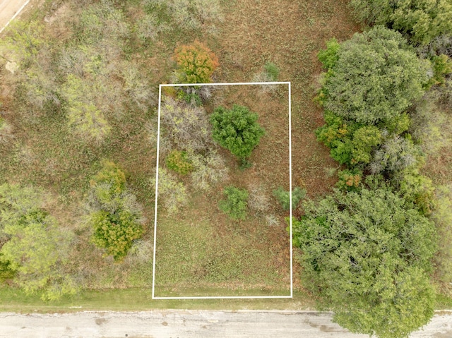 24171 Stonewood Dr, Whitney, TX 76692