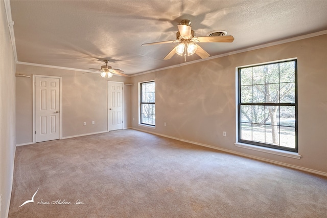 empty room with a wealth of natural light, crown molding, light carpet, and a textured ceiling