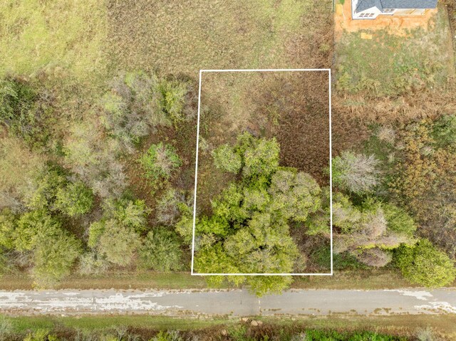 22193 Shady Grove Dr, Whitney, TX 76692