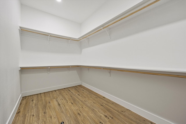 spacious closet featuring wood-type flooring