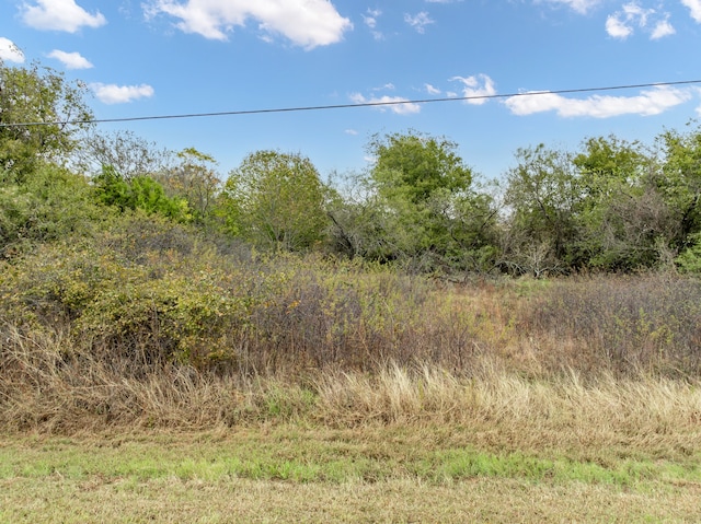 22157 Shady Grove Dr, Whitney TX, 76692 land for sale