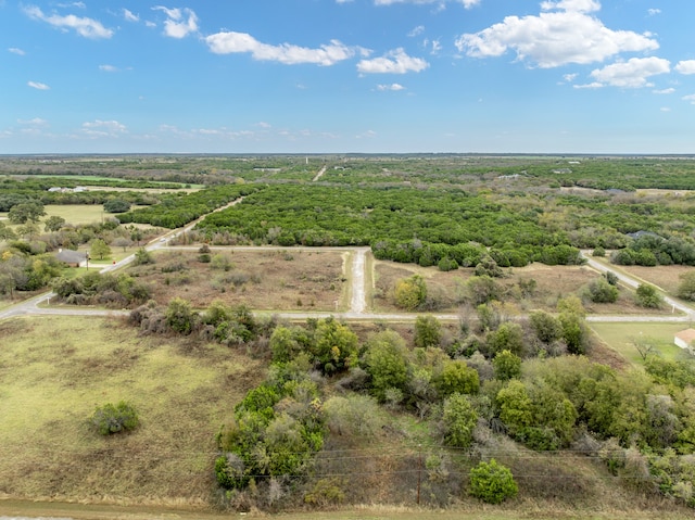 Listing photo 2 for 22157 Shady Grove Dr, Whitney TX 76692