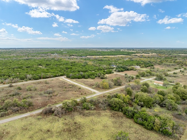 Listing photo 3 for 22146 Stanwood Dr, Whitney TX 76692