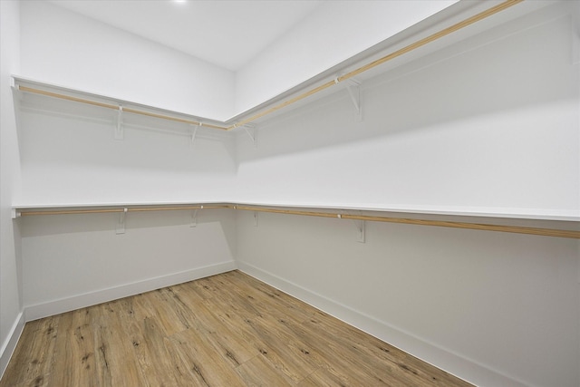 spacious closet featuring wood-type flooring