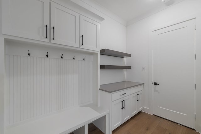 mudroom featuring dark hardwood / wood-style flooring