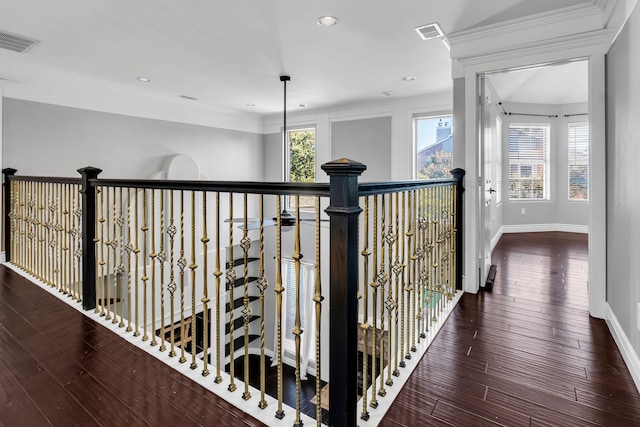 corridor with dark hardwood / wood-style flooring and ornamental molding