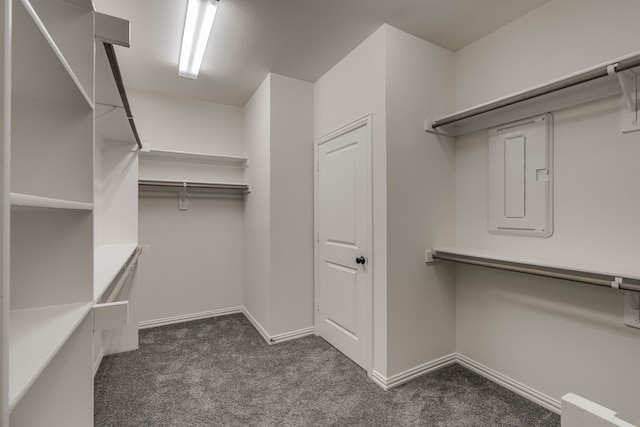 walk in closet featuring dark carpet and electric panel