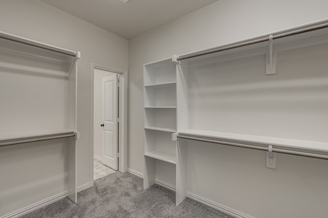 walk in closet featuring light colored carpet