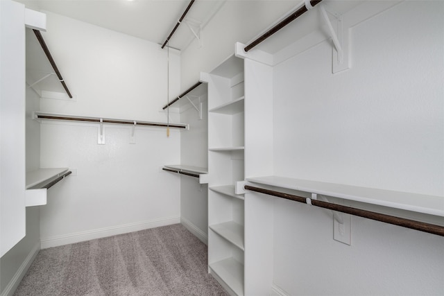 spacious closet with light colored carpet