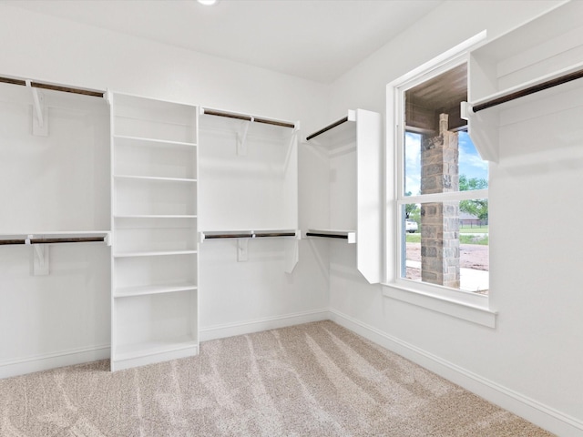 walk in closet featuring light carpet