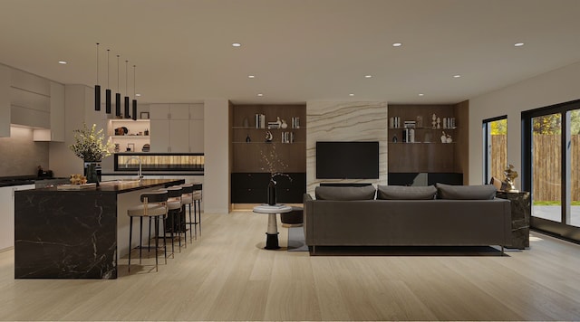 living room with light hardwood / wood-style floors and a wealth of natural light