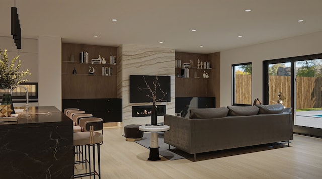 living room featuring light hardwood / wood-style floors