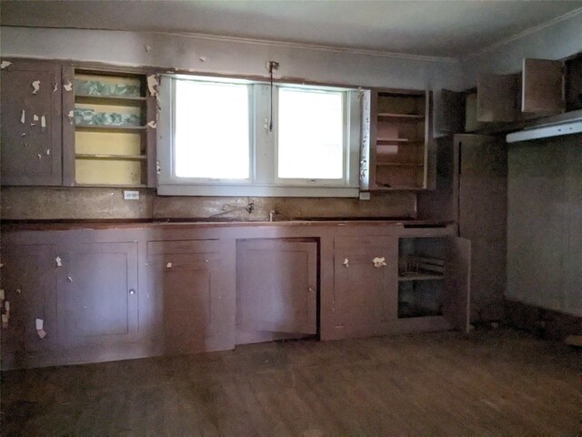 kitchen featuring hardwood / wood-style flooring, ornamental molding, and sink