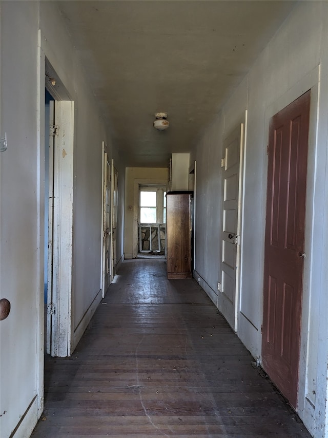 hallway with dark hardwood / wood-style flooring