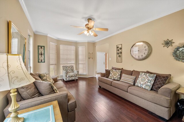 living room featuring ceiling fan, dark wood-type flooring, and ornamental molding