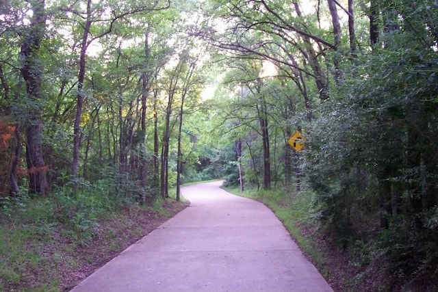 view of property's community