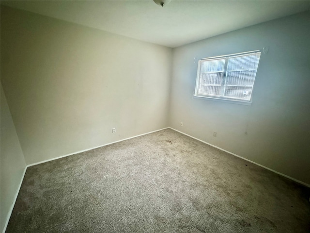 spare room featuring carpet flooring