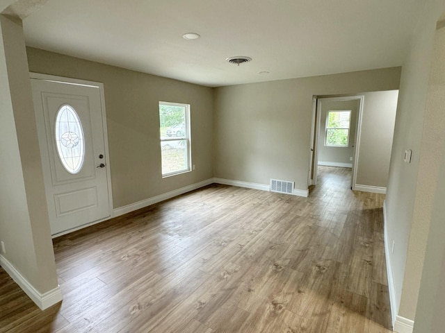 foyer with light hardwood / wood-style flooring and a healthy amount of sunlight