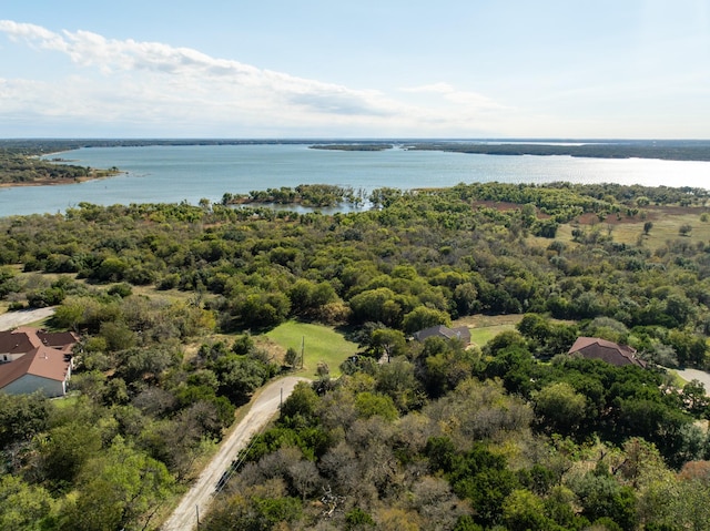 21067 Hidden Oak Ct, Whitney TX, 76692 land for sale