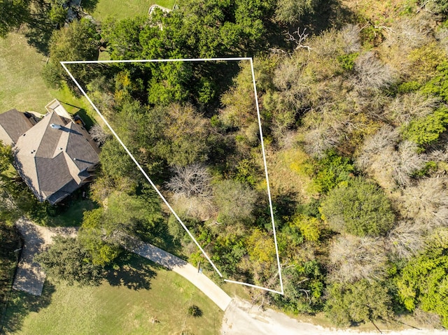 21067 Hidden Oak Ct, Whitney, TX 76692