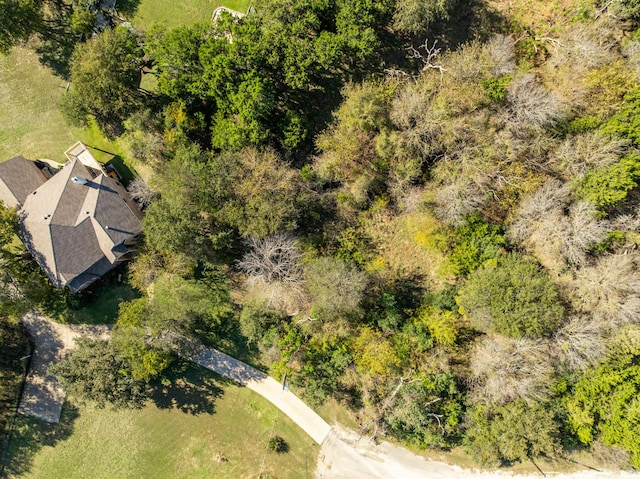 21067 Hidden Oak Ct, Whitney, TX 76692