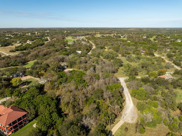 21067 Hidden Oak Ct, Whitney, TX 76692