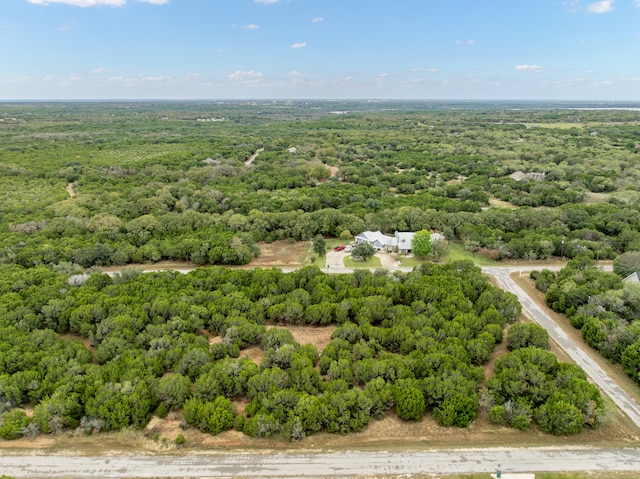 18062 Forrest Dr, Whitney TX, 76692 land for sale