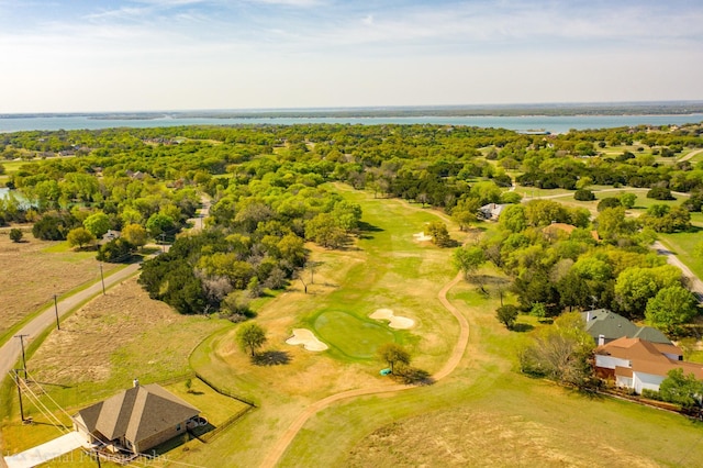 18062 Forrest Dr, Whitney, TX 76692