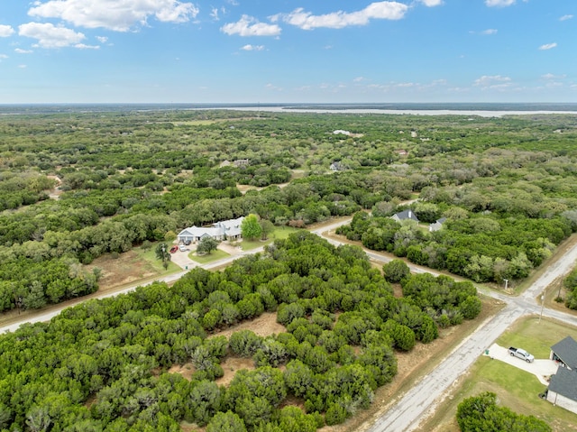 18062 Forrest Dr, Whitney, TX 76692
