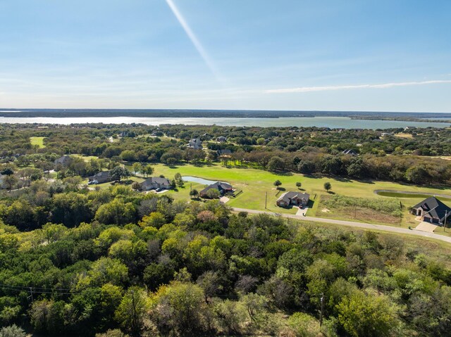17136 Woodlawn Dr, Whitney, TX 76692